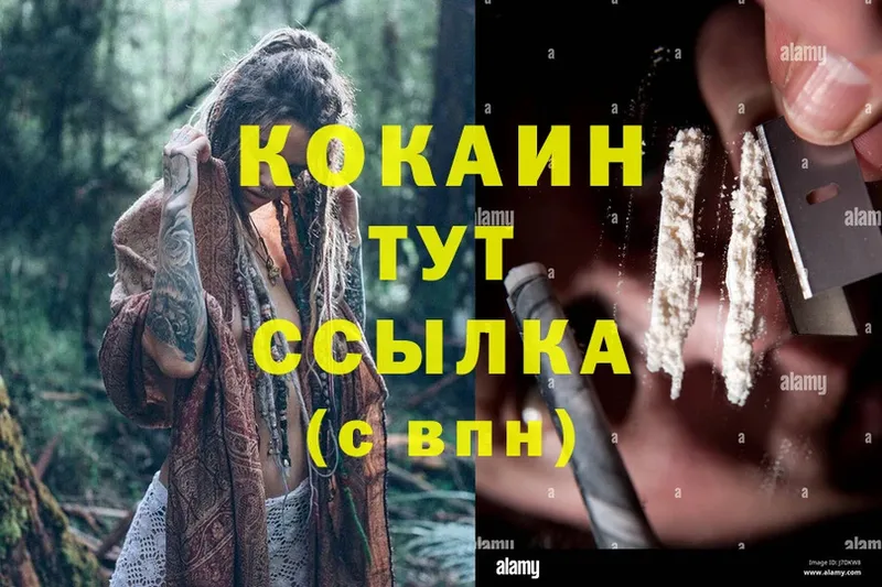 Cocaine FishScale  Боровичи 