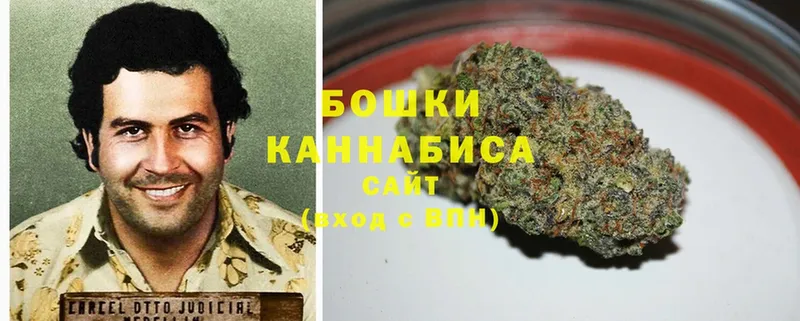 Каннабис SATIVA & INDICA  купить наркоту  Боровичи 